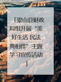 梁山县财政局组开展“美好生活 民法典相伴”主题学习宣传活动