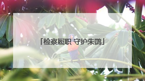 检察履职 守护朱鹮