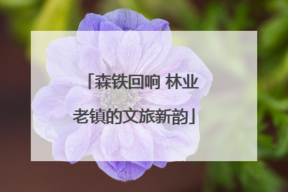 森铁回响 林业老镇的文旅新韵