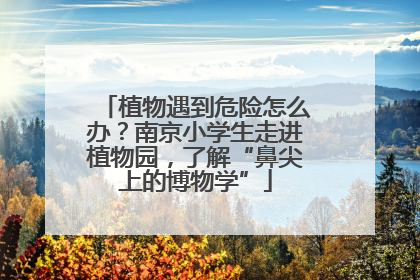 植物遇到危险怎么办？南京小学生走进植物园，了解“鼻尖上的博物学”
