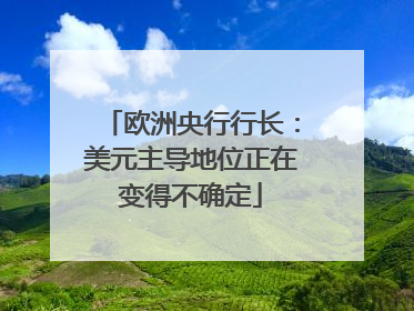 欧洲央行行长：美元主导地位正在变得不确定