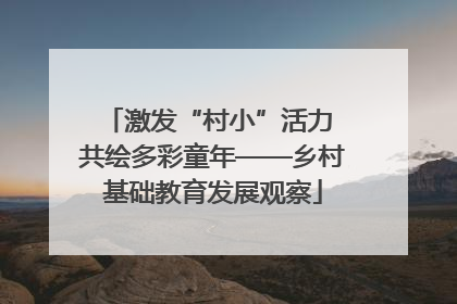 激发“村小”活力 共绘多彩童年——乡村基础教育发展观察