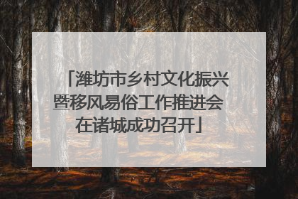 潍坊市乡村文化振兴暨移风易俗工作推进会在诸城成功召开