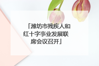 潍坊市残疾人和红十字事业发展联席会议召开