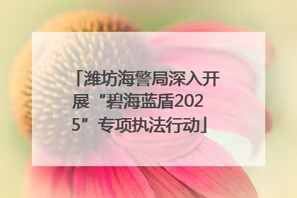 潍坊海警局深入开展“碧海蓝盾2025”专项执法行动