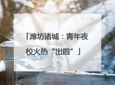 潍坊诸城：青年夜校火热“出圈”