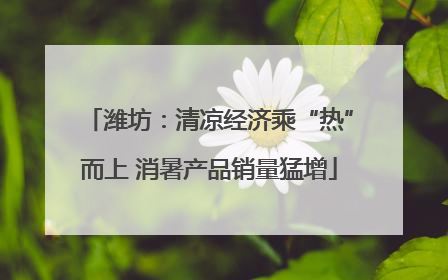 潍坊：清凉经济乘“热”而上 消暑产品销量猛增