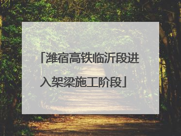 潍宿高铁临沂段进入架梁施工阶段