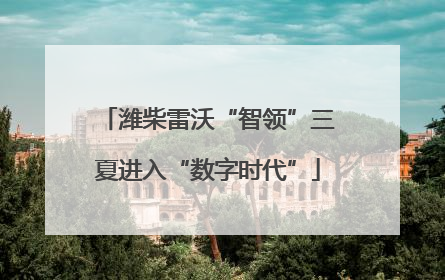 潍柴雷沃“智领”三夏进入“数字时代”