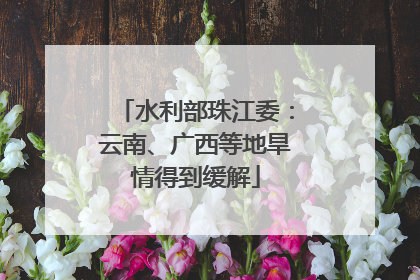 水利部珠江委：云南、广西等地旱情得到缓解