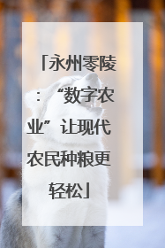 永州零陵：“数字农业”让现代农民种粮更轻松