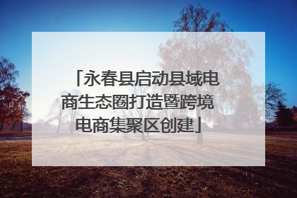 永春县启动县域电商生态圈打造暨跨境电商集聚区创建