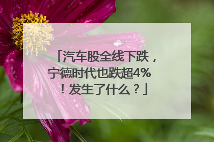汽车股全线下跌，宁德时代也跌超4%！发生了什么？