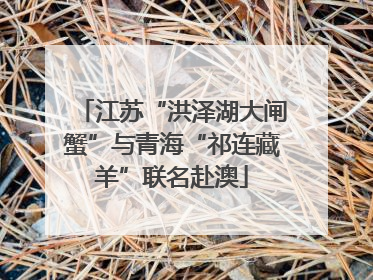 江苏“洪泽湖大闸蟹”与青海“祁连藏羊”联名赴澳