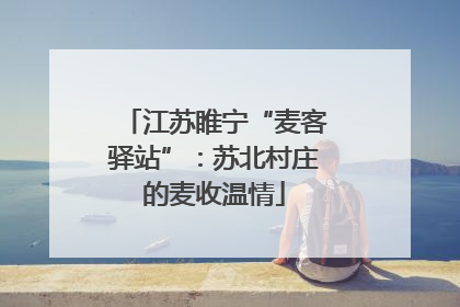 江苏睢宁“麦客驿站”：苏北村庄的麦收温情