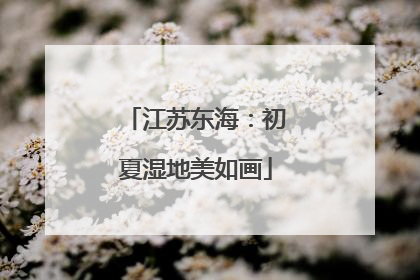 江苏东海：初夏湿地美如画