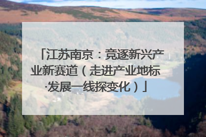 江苏南京：竞逐新兴产业新赛道（走进产业地标·发展一线探变化）