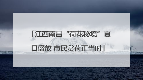江西南昌“荷花秘境”夏日盛放 市民赏荷正当时