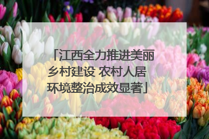 江西全力推进美丽乡村建设 农村人居环境整治成效显著