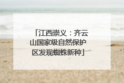 江西崇义：齐云山国家级自然保护区发现蜘蛛新种