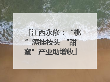 江西永修：“桃”满挂枝头 “甜蜜”产业助增收
