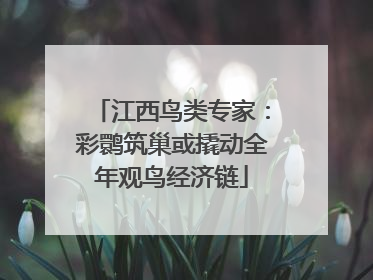 江西鸟类专家：彩鹮筑巢或撬动全年观鸟经济链