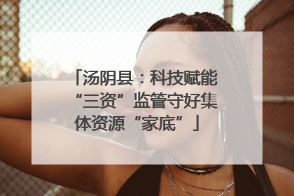 汤阴县：科技赋能“三资”监管守好集体资源“家底”