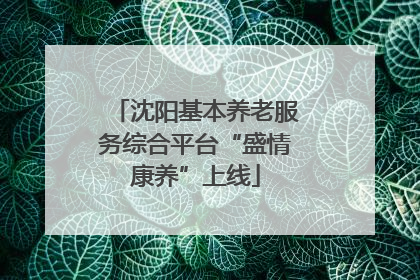 沈阳基本养老服务综合平台“盛情康养”上线