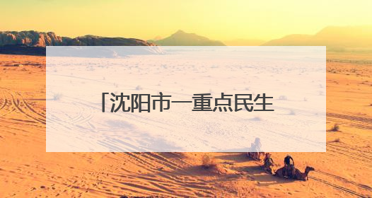 沈阳市一重点民生工程建设加快推进