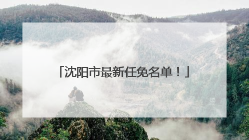 沈阳市最新任免名单！