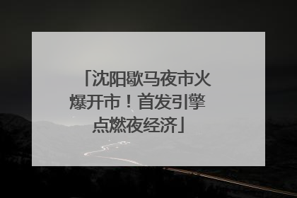 沈阳歇马夜市火爆开市！首发引擎点燃夜经济