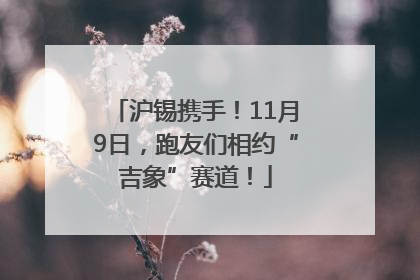 沪锡携手！11月9日，跑友们相约“吉象”赛道！