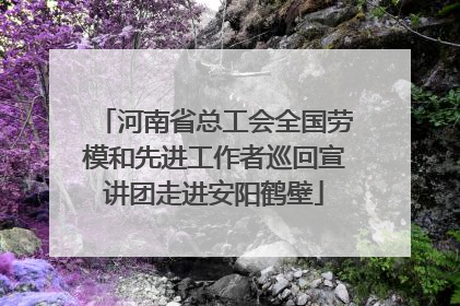 河南省总工会全国劳模和先进工作者巡回宣讲团走进安阳鹤壁