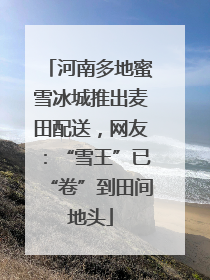 河南多地蜜雪冰城推出麦田配送，网友：“雪王”已“卷”到田间地头