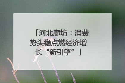 河北廊坊：消费势头稳点燃经济增长“新引擎”