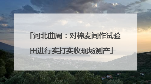 河北曲周：对棉麦间作试验田进行实打实收现场测产