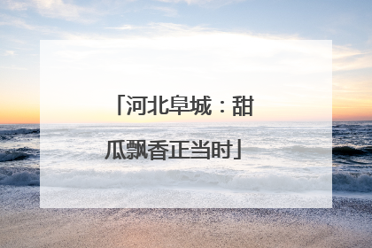 河北阜城：甜瓜飘香正当时
