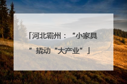 河北霸州：“小家具”撬动“大产业”