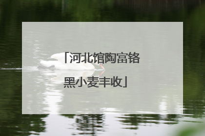 河北馆陶富铬黑小麦丰收