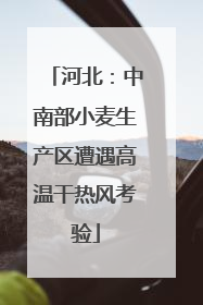 河北：中南部小麦生产区遭遇高温干热风考验
