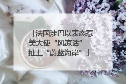 法国涉巴以表态惹美大使“风凉话” 扯上“蔚蓝海岸”