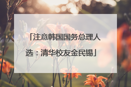 注意韩国国务总理人选：清华校友金民锡
