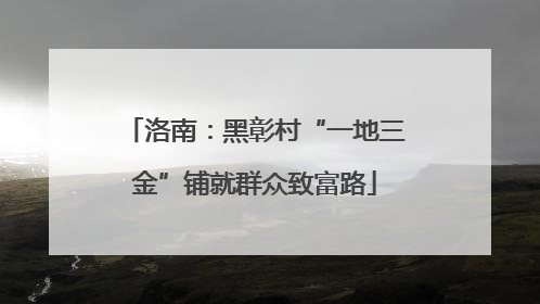 洛南：黑彰村“一地三金”铺就群众致富路