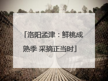 洛阳孟津：鲜桃成熟季 采摘正当时