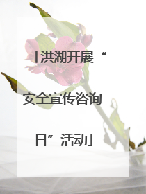 洪湖开展“安全宣传咨询日”活动