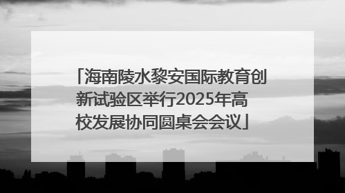 海南陵水黎安国际教育创新试验区举行2025年高校发展协同圆桌会会议