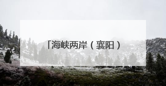 海峡两岸（襄阳）新一代光芯屏技术产业合作交流会举行