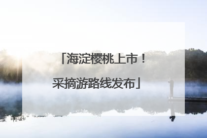 海淀樱桃上市！采摘游路线发布