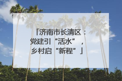 济南市长清区：党建引“活水”，乡村启“新程”