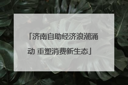 济南自助经济浪潮涌动 重塑消费新生态